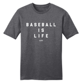 Baseball is Life
